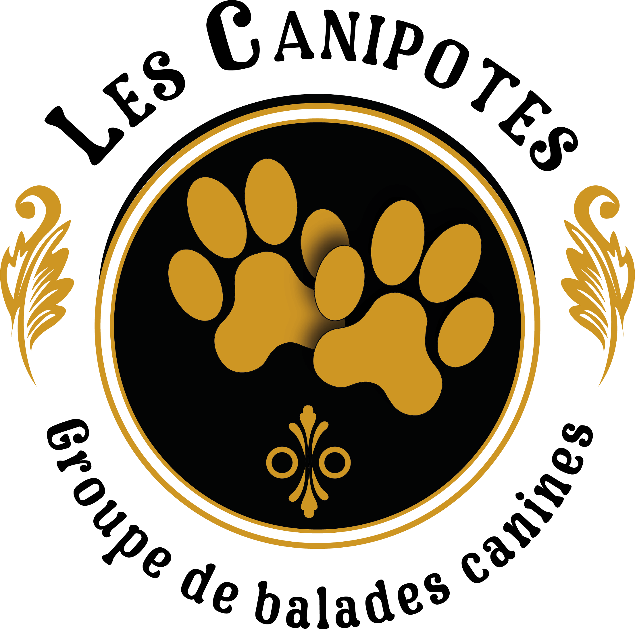 Canimotions — logo